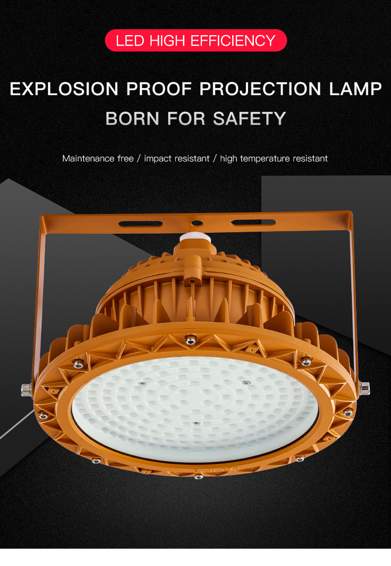 High Quality Led Explosion Proof Lighting Professio<i></i>nal Explosion Proof Lamps 100W 150W 200W 300W Explosion-proof Lights