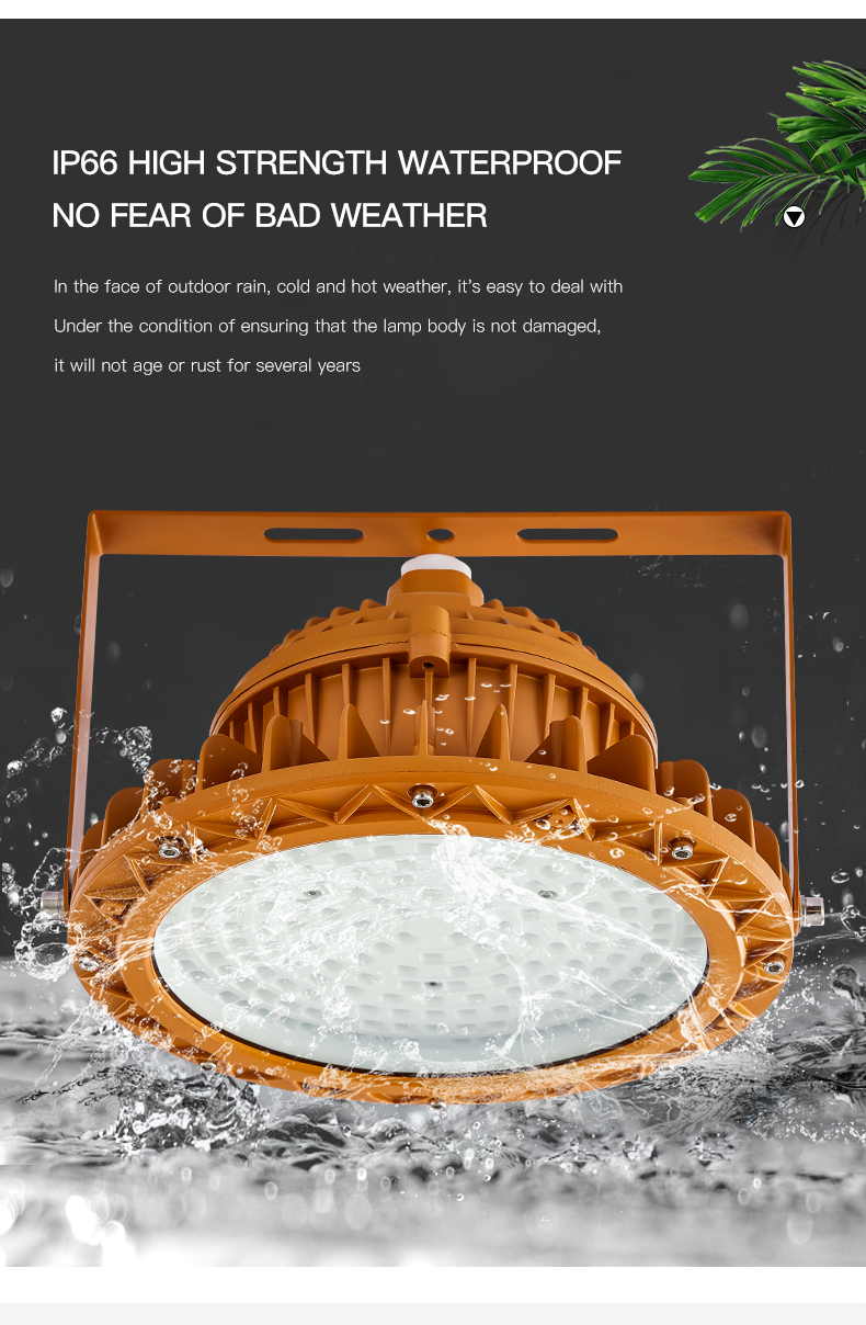 High Quality Led Explosion Proof Lighting Professio<i></i>nal Explosion Proof Lamps 100W 150W 200W 300W Explosion-proof Lights
