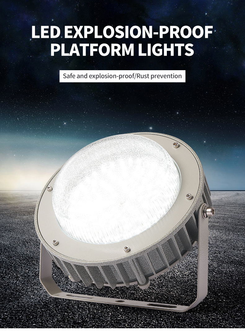 Explosion Proof Light Waterproof IP65 40W 60W 80W 120W 5 Years Warranty Led Explosion-proof Light for Oil and Gas Station