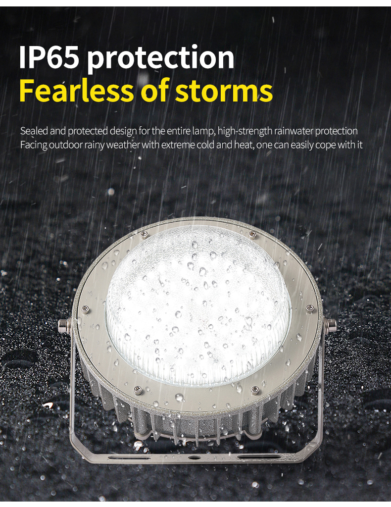Explosion Proof Light Waterproof IP65 40W 60W 80W 120W 5 Years Warranty Led Explosion-proof Light for Oil and Gas Station
