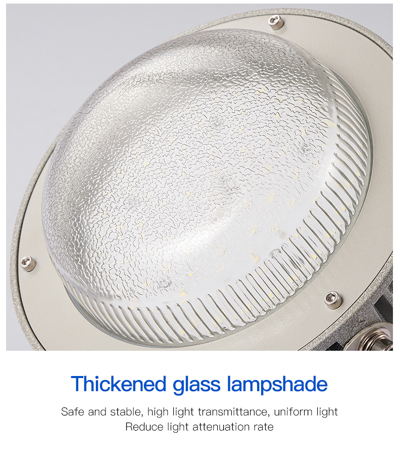 Explosion Proof Light Waterproof IP65 40W 60W 80W 120W 5 Years Warranty Led Explosion-proof Light for Oil and Gas Station