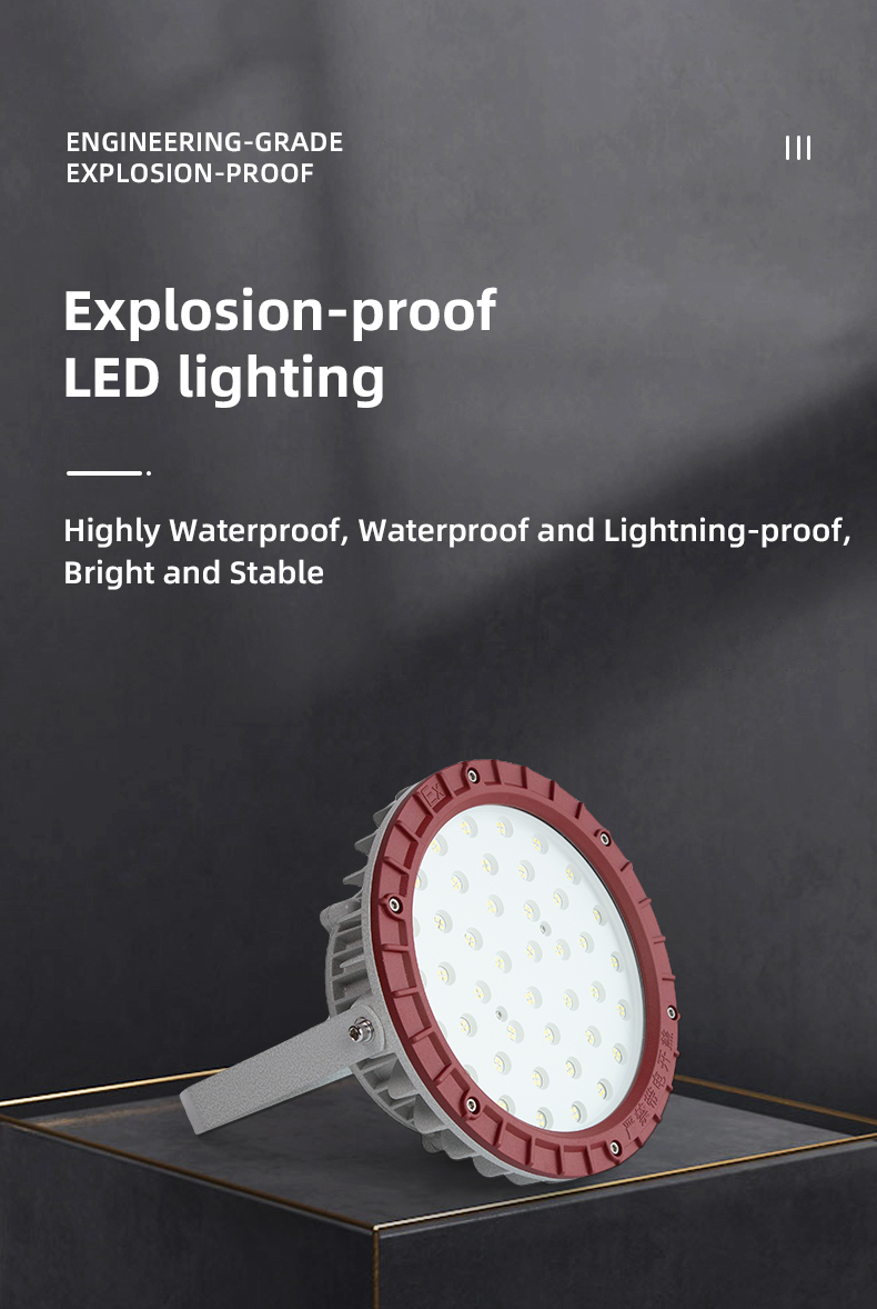 Factory Supply LED100W Explosion-Proof Light Waterproof IP66 Rating EX Lamp