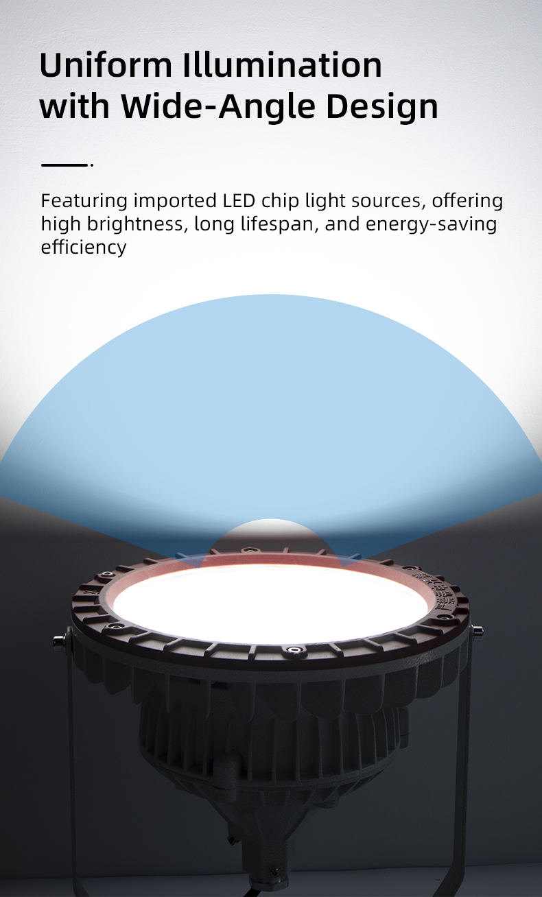 Factory Supply LED100W Explosion-Proof Light Waterproof IP66 Rating EX Lamp
