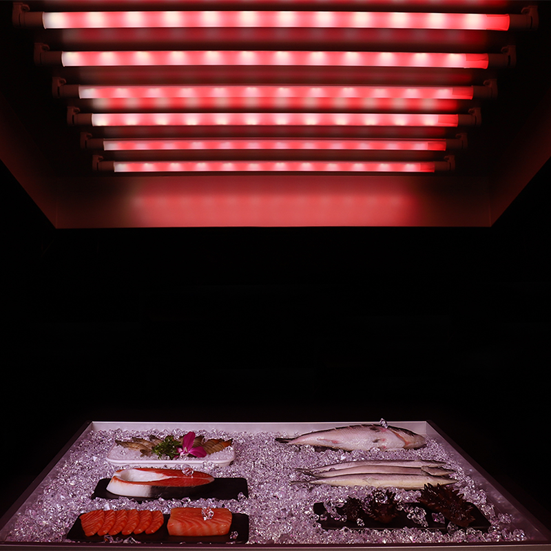 Fresh Meat T8 Food Light FRE300picture3