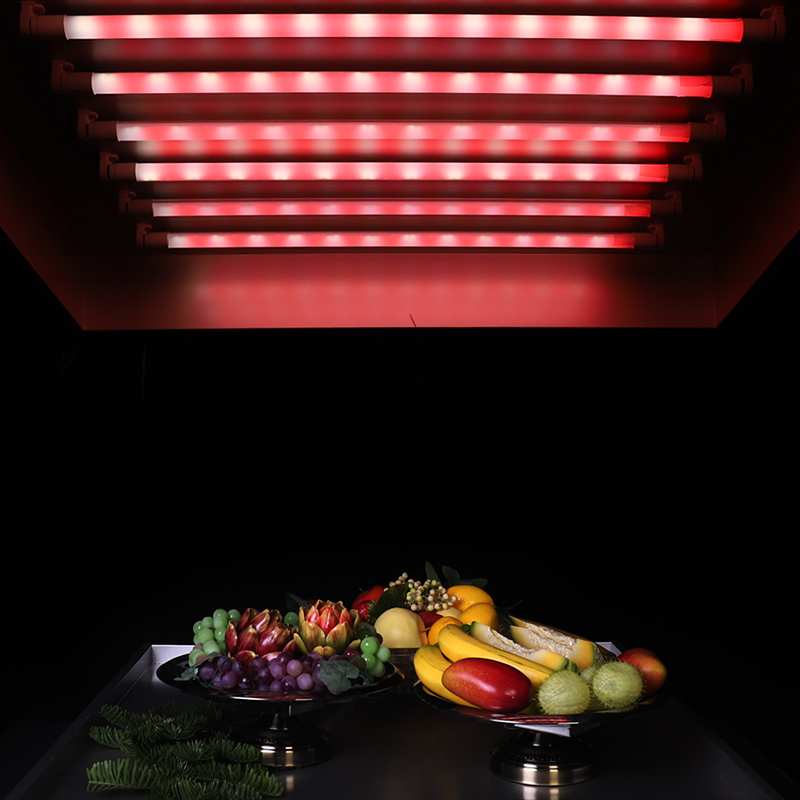 Fresh Meat T8 Food Light FRE300picture4