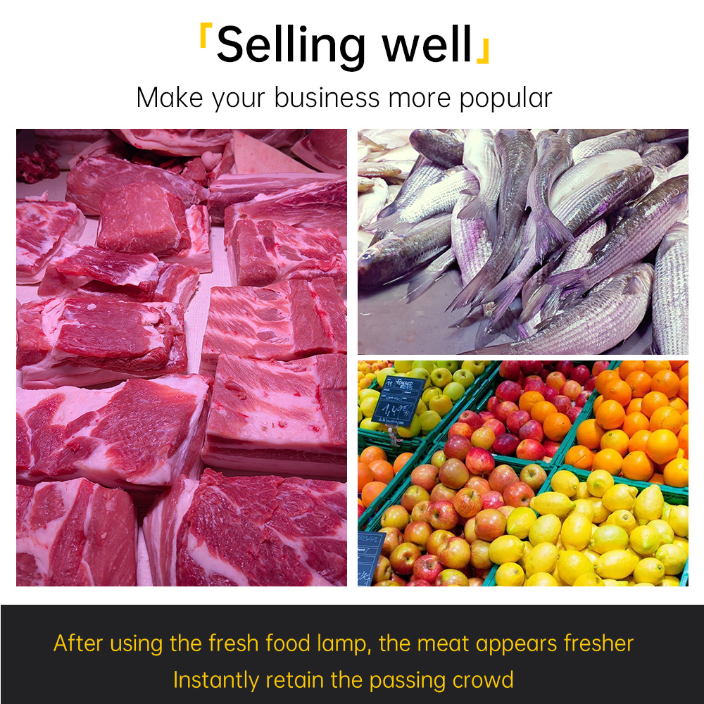 Multi Colors Modern Fresh Fruit Meat LED Track Light FRE400picture4