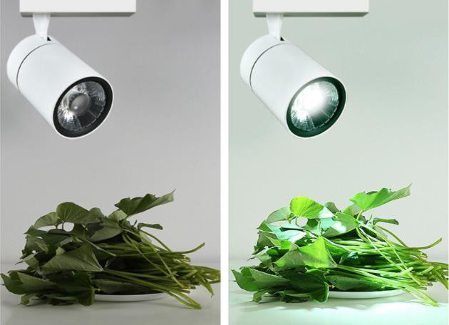 Hot Sales CE Aluminum Body 3 Years Warranty 25W 30W LED Track Light Fresh Light for Meat Vegetables Fruit Bread Sea Food