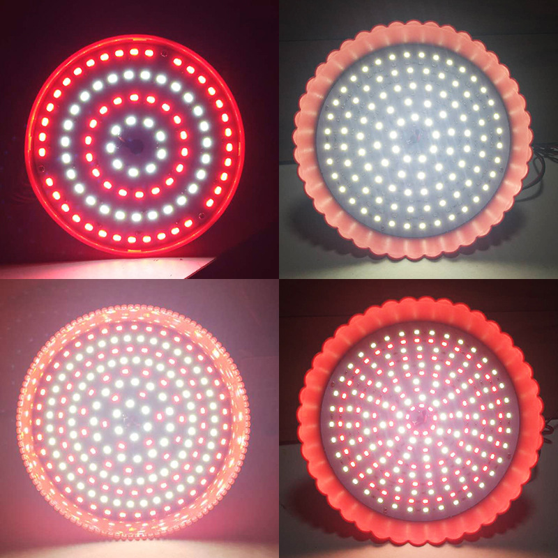 12V 24V 220V 50W LED Fresh Light / Fruit / Vegetable / Meat Light FRE700picture5