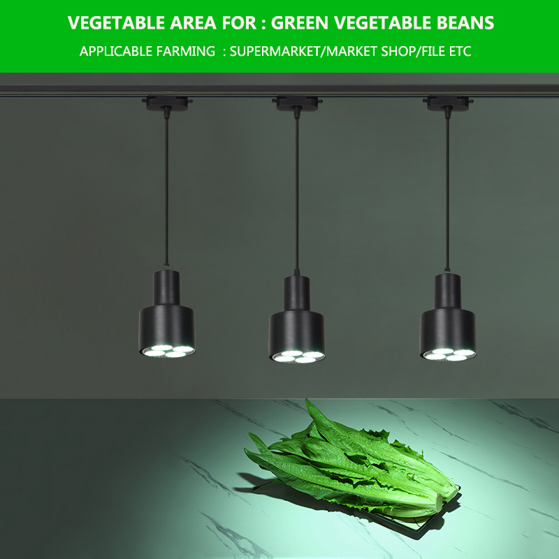 LED Movable Fresh Light 35W E27 Fruit Light Cooked Food Braised Meat Cold Seafood Meat Vegetable Supermarket Special Track Light