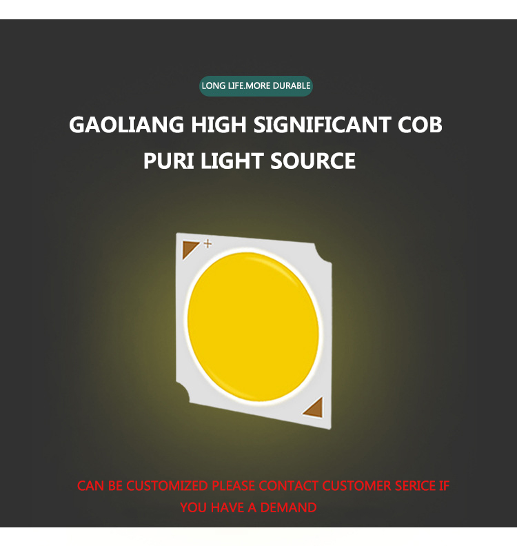 Aquatic Fresh Foods Chandelier Lamp with 25W Special LED Light 85-265V for Supermarket Use Fresh Pork Fruit Vegetable Lighting