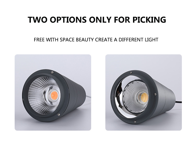 Aquatic Fresh Foods Chandelier Lamp with 25W Special LED Light 85-265V for Supermarket Use Fresh Pork Fruit Vegetable Lighting