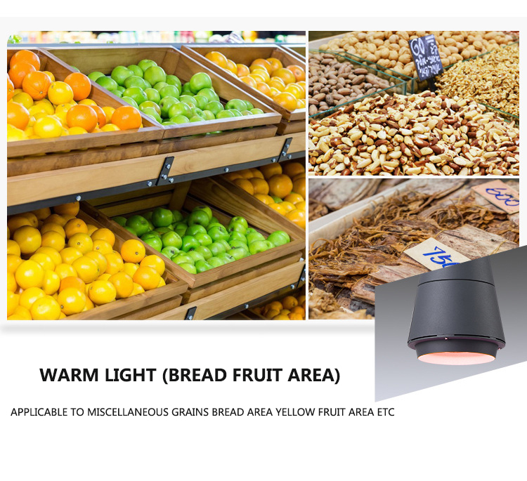Aquatic Fresh Foods Chandelier Lamp with 25W Special LED Light 85-265V for Supermarket Use Fresh Pork Fruit Vegetable Lighting