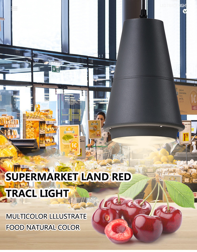 Aquatic Fresh Foods Chandelier Lamp with 25W Special LED Light 85-265V for Supermarket Use Fresh Pork Fruit Vegetable Lighting