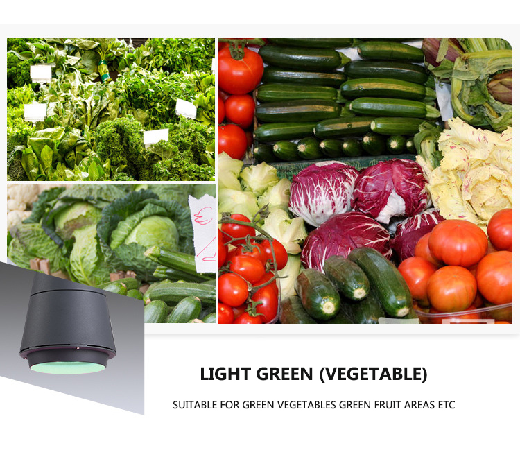 Aquatic Fresh Foods Chandelier Lamp with 25W Special LED Light 85-265V for Supermarket Use Fresh Pork Fruit Vegetable Lighting