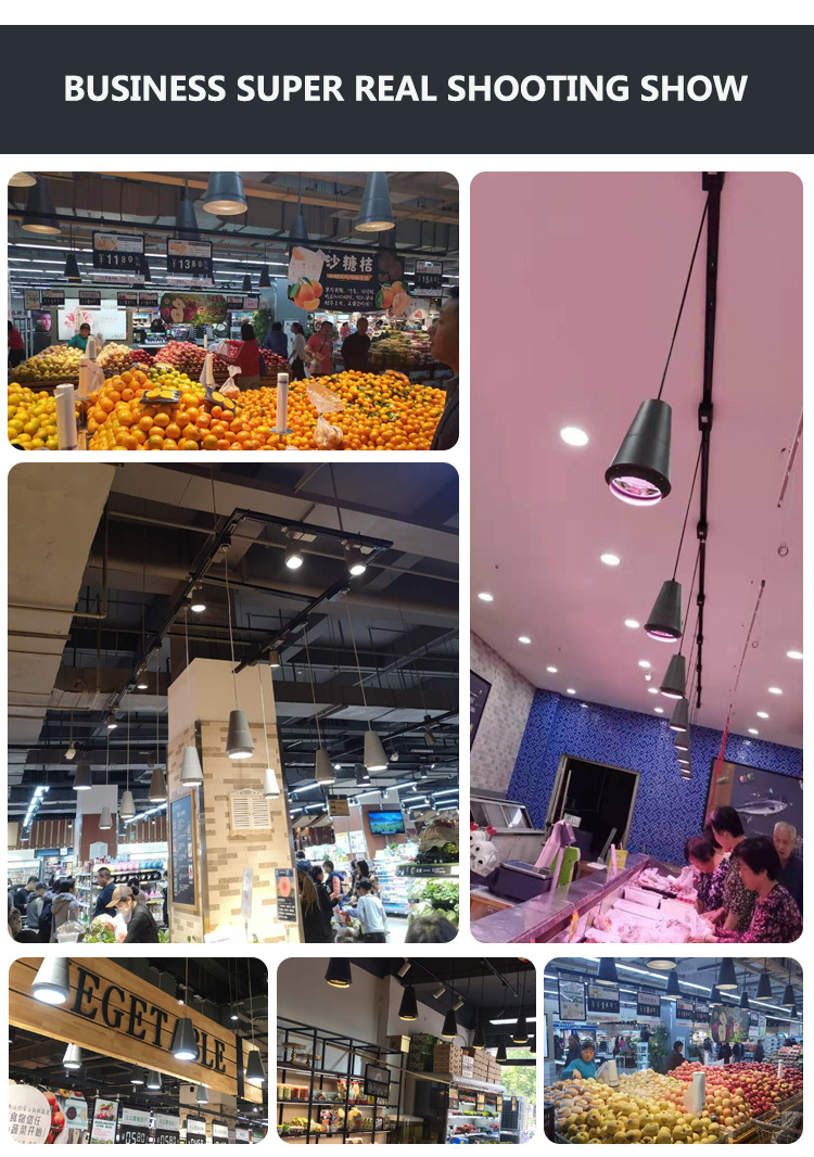 Aquatic Fresh Foods Chandelier Lamp with 25W Special LED Light 85-265V for Supermarket Use Fresh Pork Fruit Vegetable Lighting