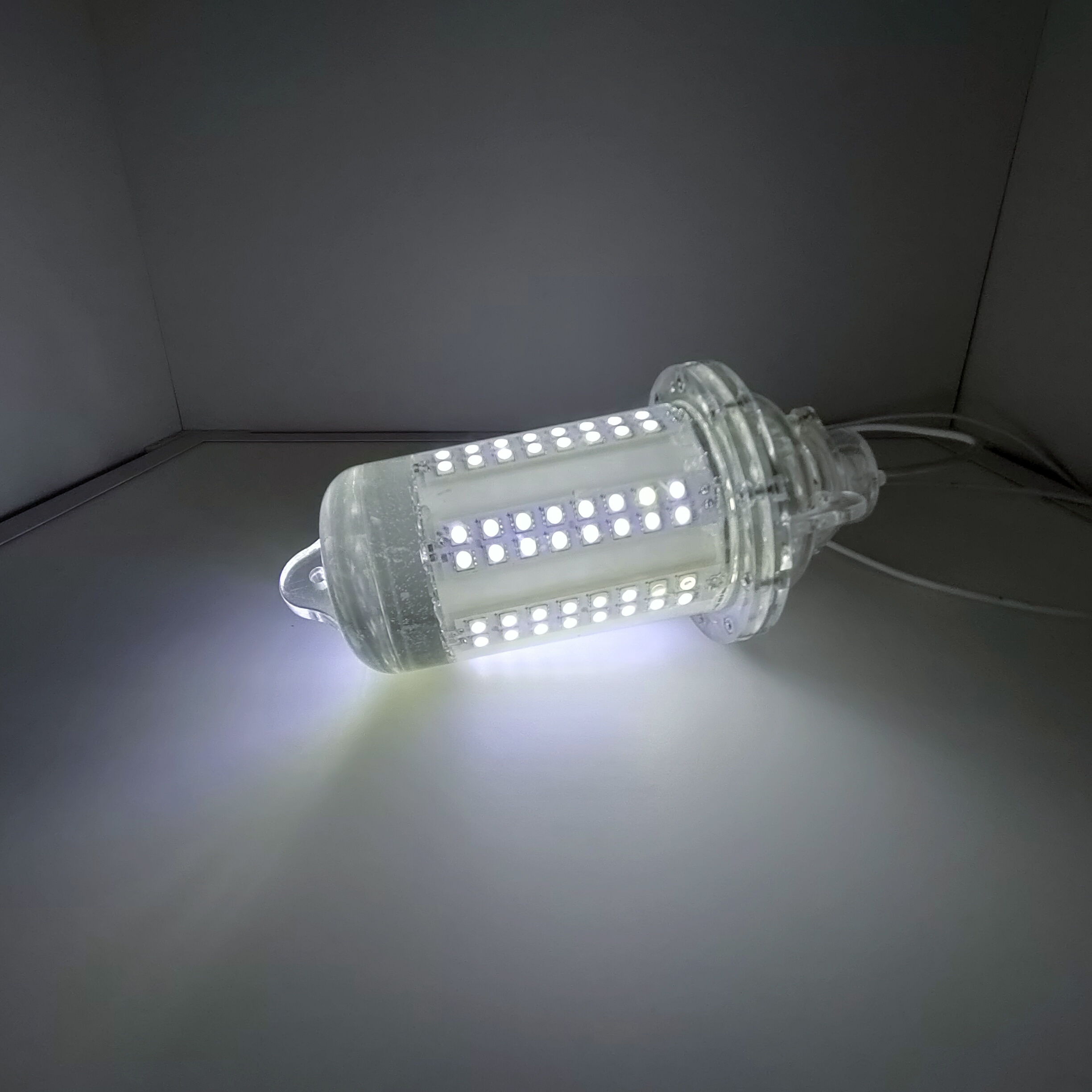 30W 80W 12W DC6V IP68 Fish Attracting Underwater Fishing Lights FSL400picture4