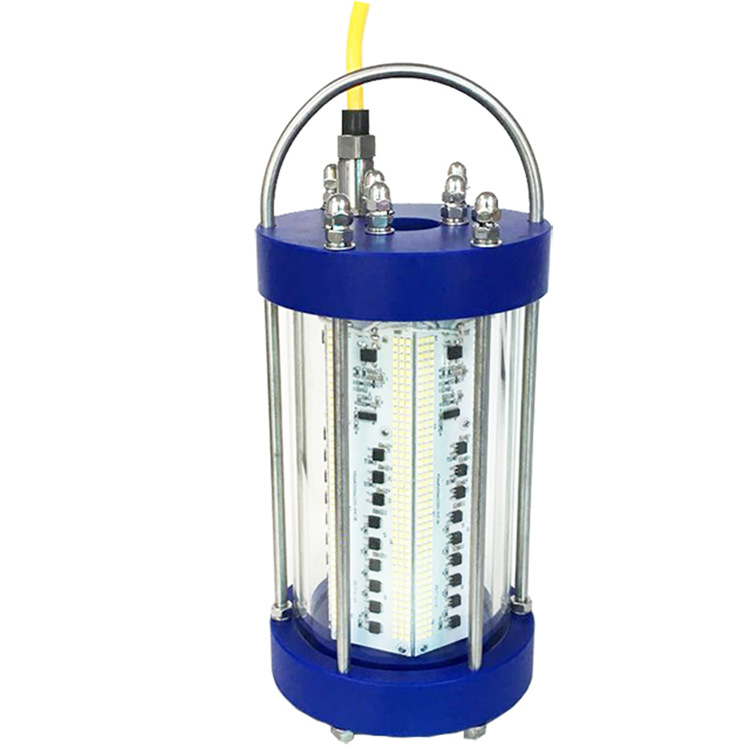 Attractive Fish Lures Under Water 1000 Watt LED Fishing Lights FSL600