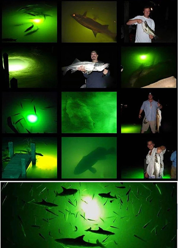 Attractive Fish Lures Under Water 1000 Watt Led Fishing Lights