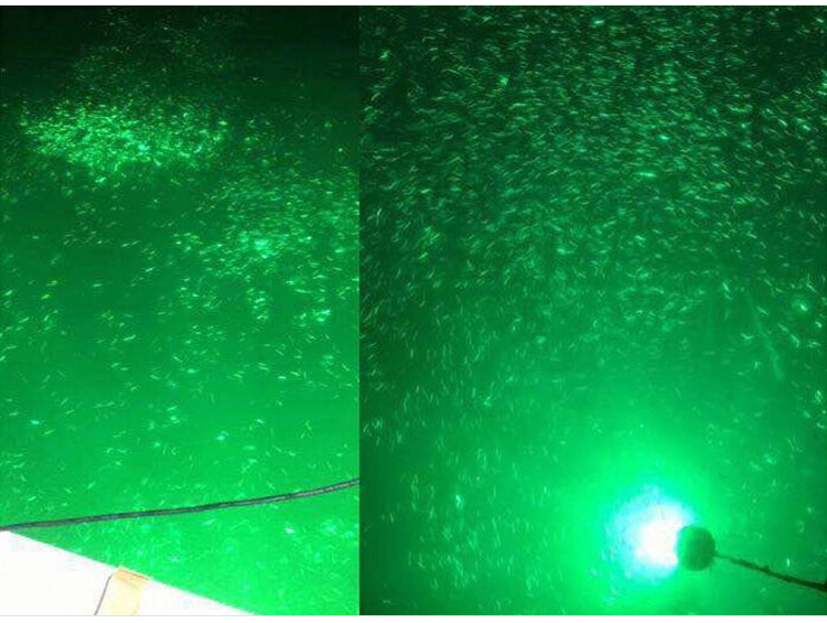 1000W Underwater Submersible Fish Attracting LED Fishing Light ,High Power Lure Lamp White ,Warm White Blue Green Lighting