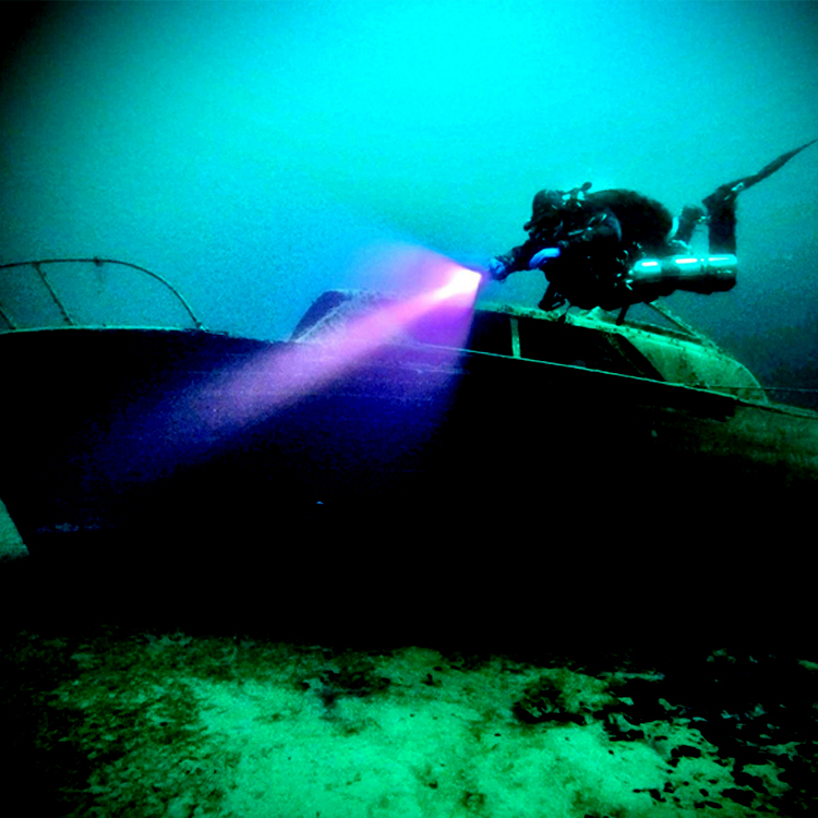 IPX8 395nm UV Underwater Diving Scuba Light DVL700picture6