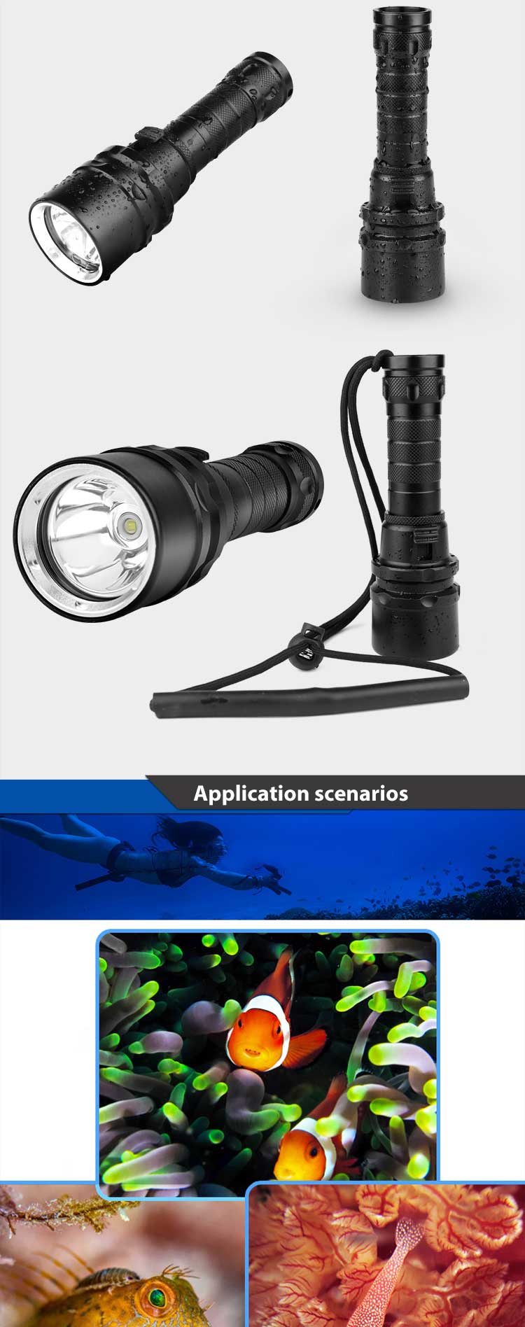 Professio<i></i>nal IPX8 Diving Equipment 395nm UV Underwater Photography Scuba Light Fishing Torch Light LED UV Diving Flashlight