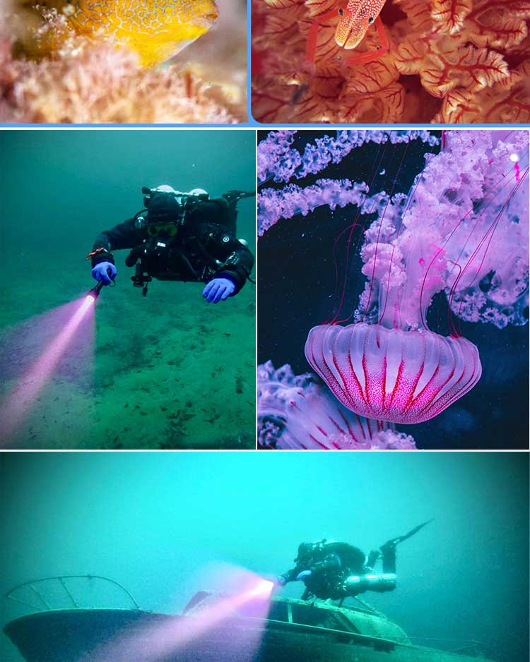 Professio<i></i>nal IPX8 Diving Equipment 395nm UV Underwater Photography Scuba Light Fishing Torch Light LED UV Diving Flashlight