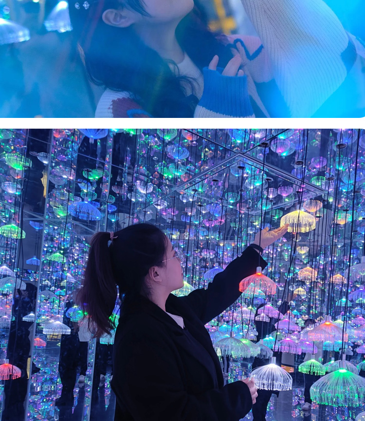 Cross-border Hot Selling Fiber Optic LED Atmosphere Light IP65 Waterproof Jellyfish Chandelier bar Festive Decorative Lights