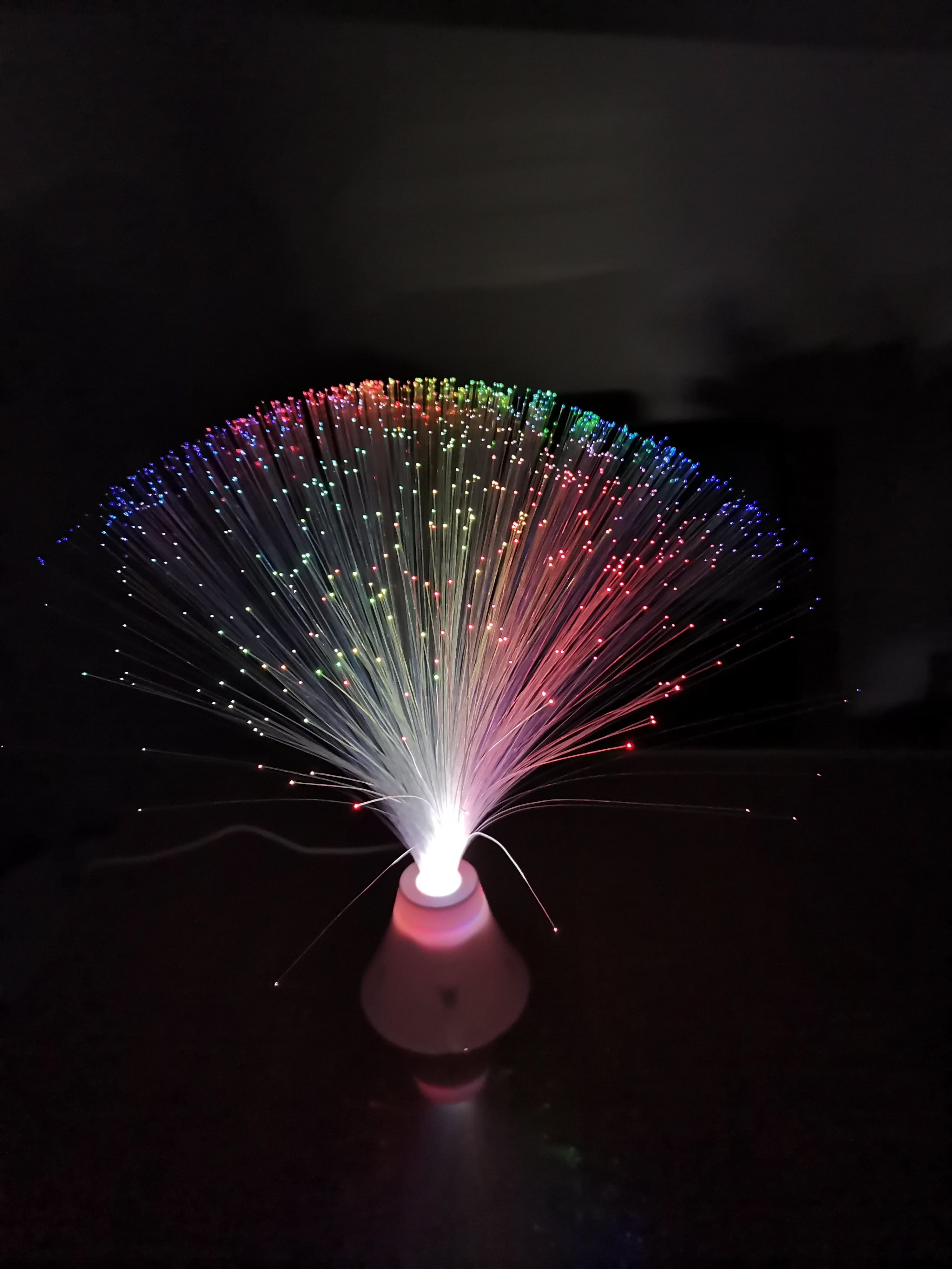 Color Changing LED Fiber Optic Lights FBL1200picture4