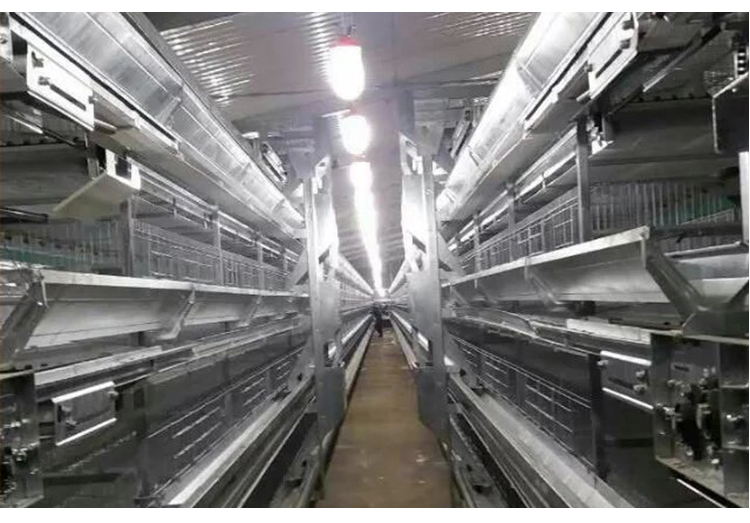 Dimmable Poultry Lamp for Chicken Growing Pig Animal Growing Led Poultry Light