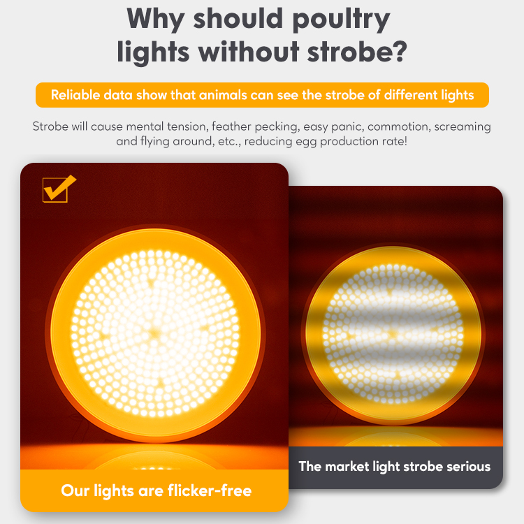 Flicker Free Waterproof 15w 30w Poultry Farm LED Bulb Light PUL600picture4