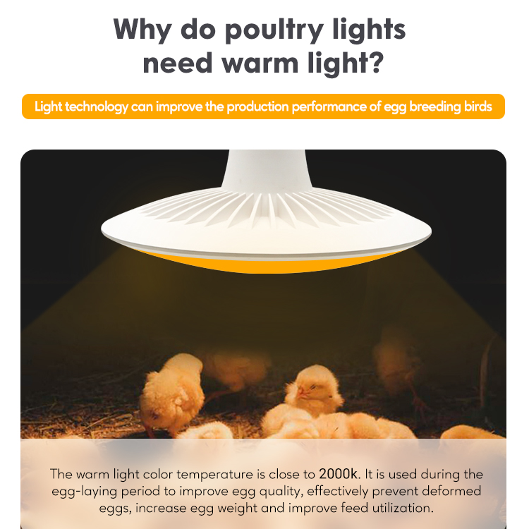Flicker Free Waterproof 15w 30w Poultry Farm LED Bulb Light PUL600picture5