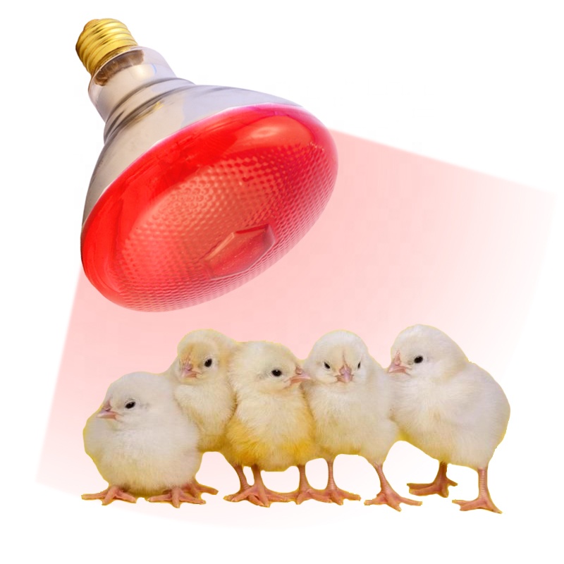 Near Infrared Sauna Waterproof Heating Lamp for Animals PUL900