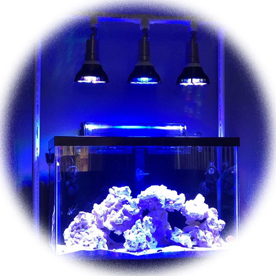 NEW Hot Sale LED Fish Tank Light Bulb Full Spectrum Coral Lamp Aquatic Plants Grow Lighting for Salt Water Aquarium Lights