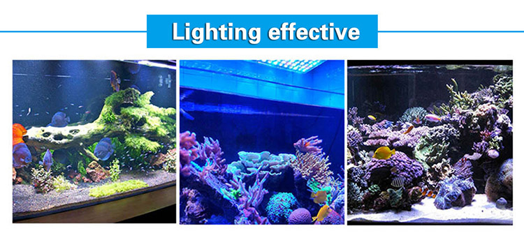 165W Dimmable LED Aquarium Light Fish Tank Marine Reef Coral Lamp for Saltwater Freshwater Underwater Aquariums Accessories