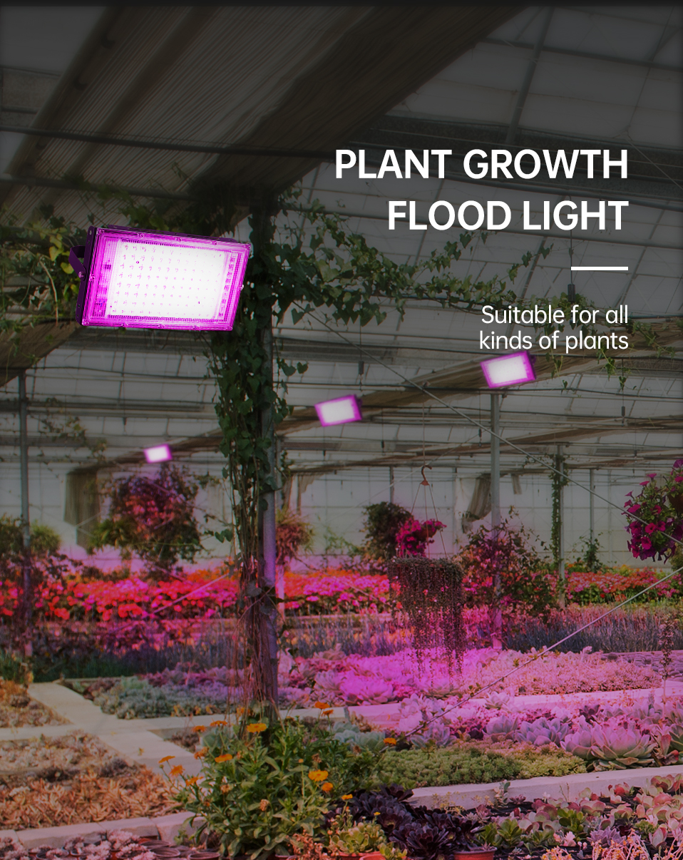 NEW AC220V Waterproof 100W Floodlight Spotlighting Led Commercial Growth Lamp Full Spectrum Led Plant Grow Lights Greenhouse 90