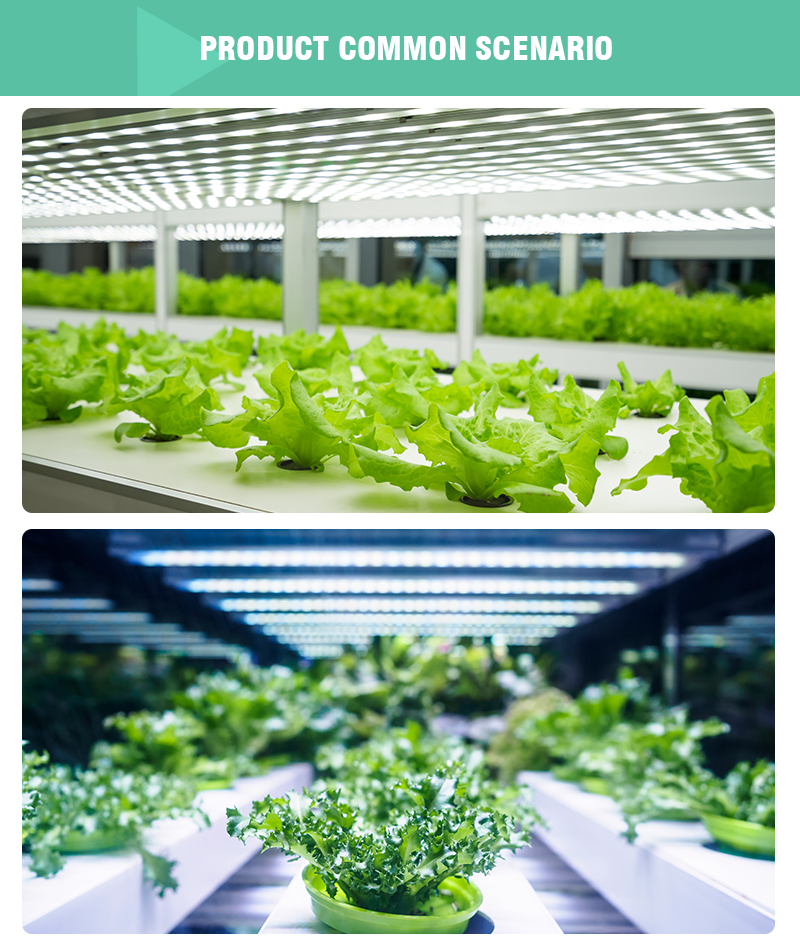 1000W LM301H LED Grow Light UV/IR Bars Aluminum Full Spectrum 240W/800W LM301B Hydropo<i></i>nics Indoor Plant Bloom-Low