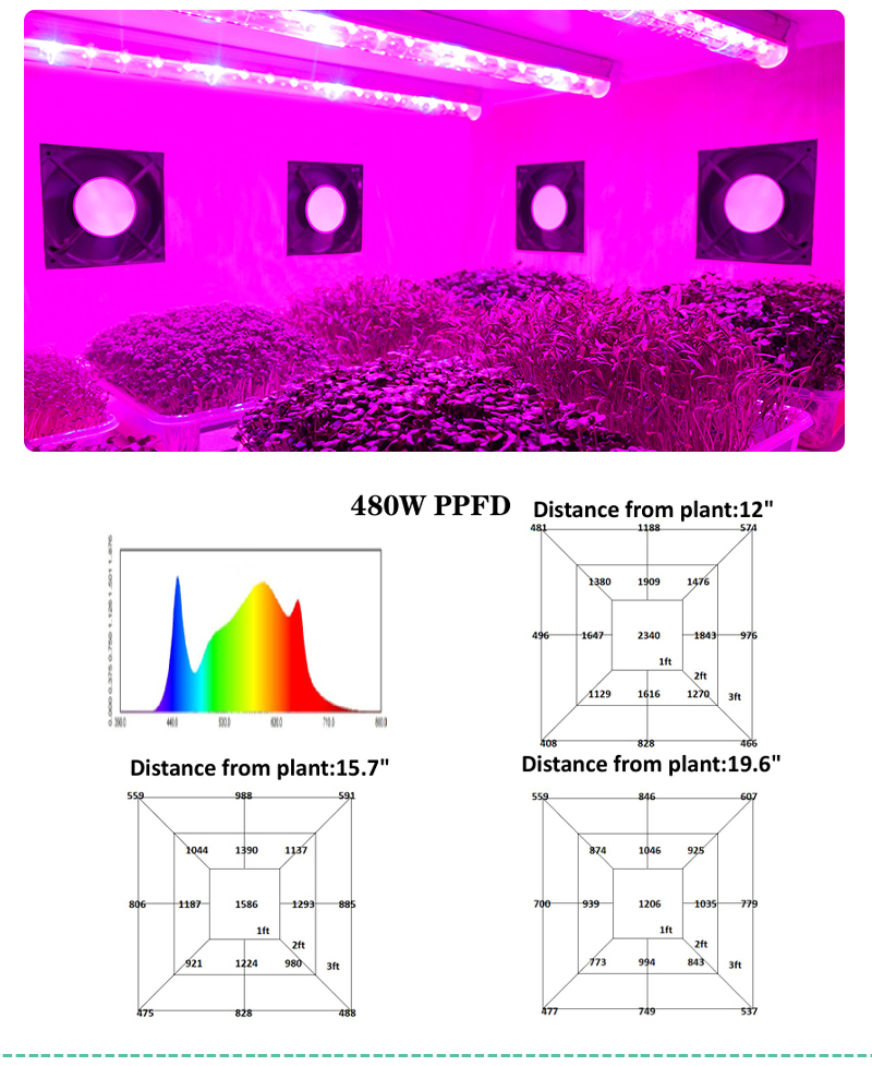 1000W LM301H LED Grow Light UV/IR Bars Aluminum Full Spectrum 240W/800W LM301B Hydropo<i></i>nics Indoor Plant Bloom-Low