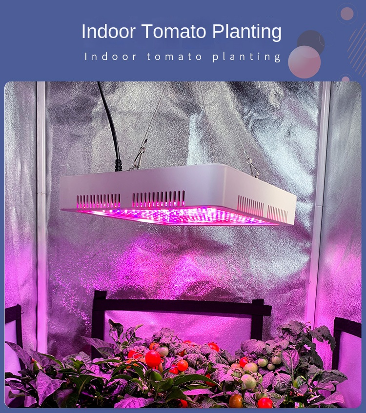 Double switch plant light LED full spectrum plant growth light can be co<i></i>nnected in series indoor vegetable succulent filling lig