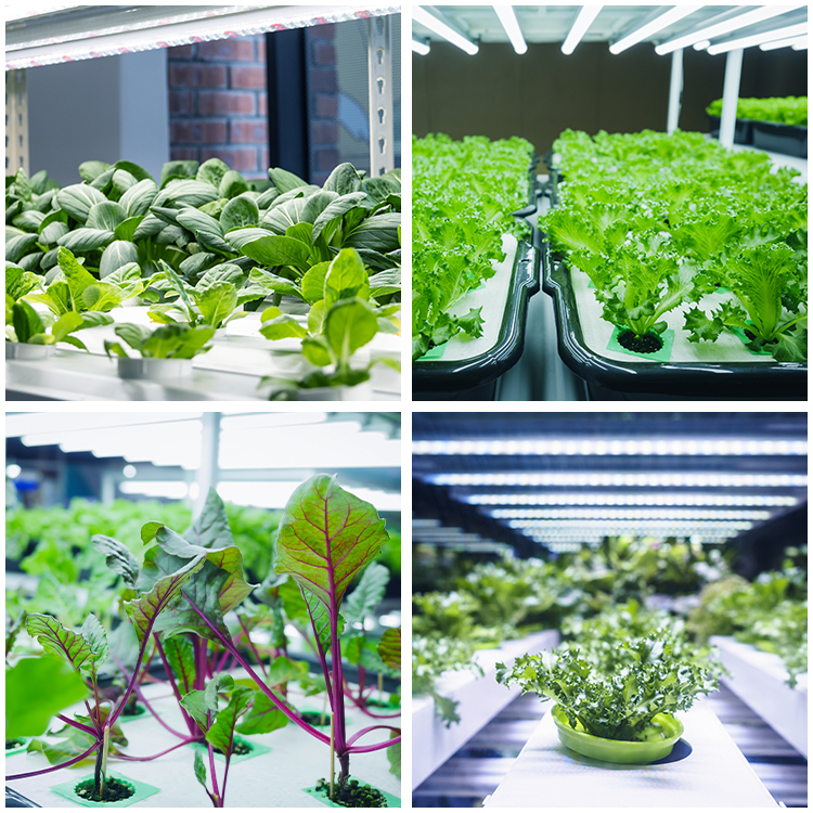Full Spectrum 2FT 4FT T8 T5  LED Grow Light Strips Seedings Hydropo<i></i>nics Bloom  9W 18W Led Grow Tube Light
