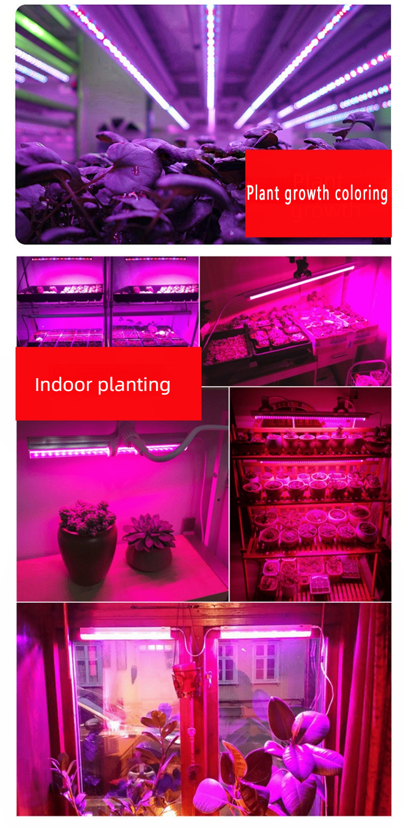 T8 Full Spectrum Led Grow Light Strips Toplighting Greenhouse Grow Lamp