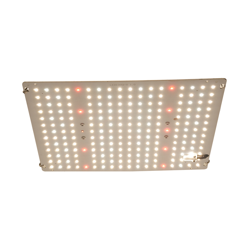 100W LED Grow Light GRW340
