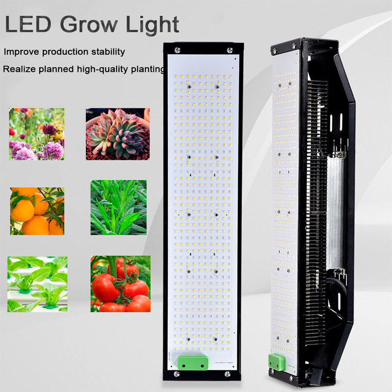 800W 240W LED Grow Light GRW350picture2