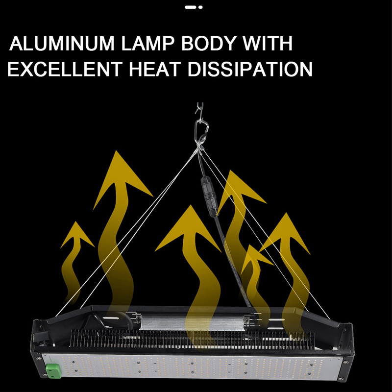 800W 240W LED Grow Light GRW350picture4