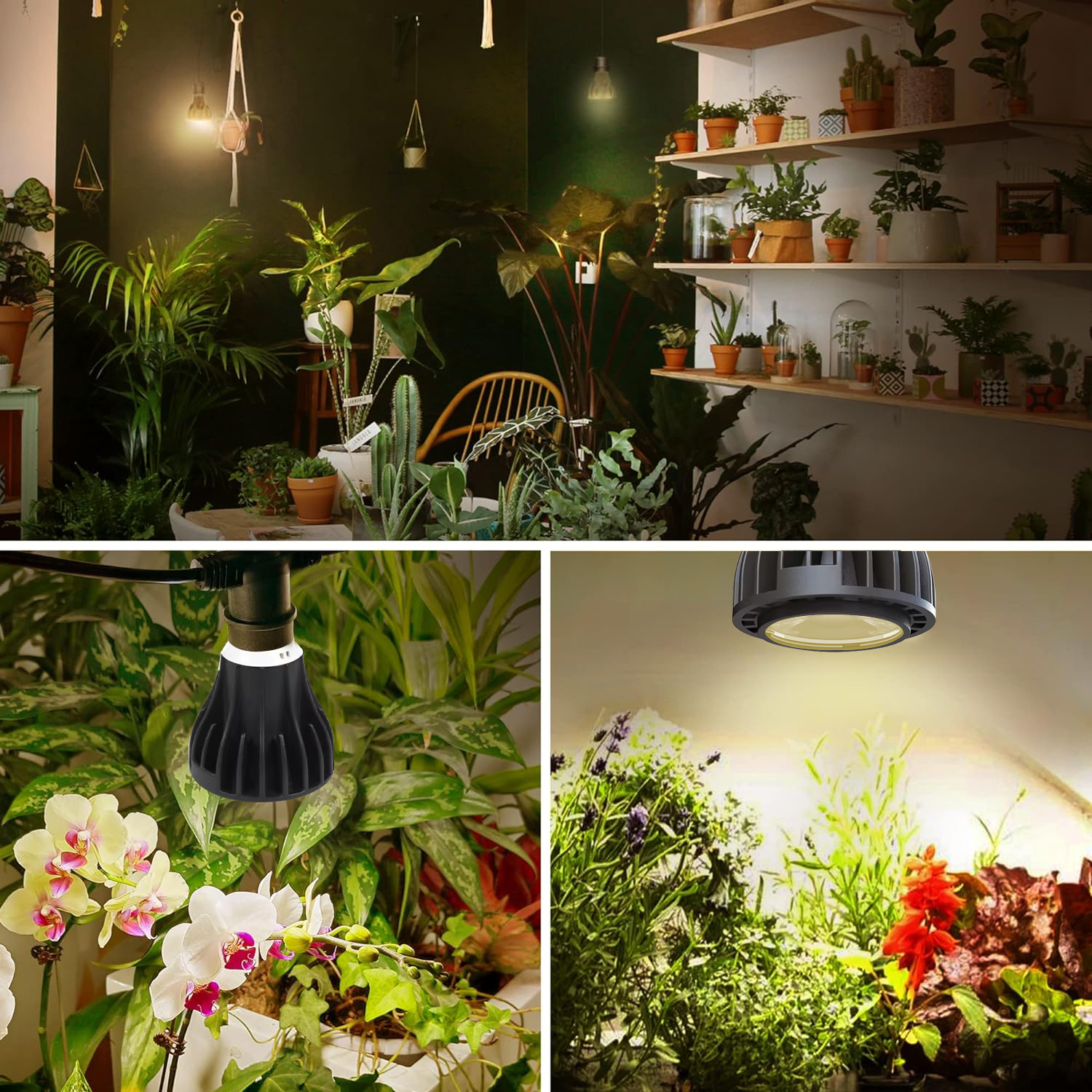 LED Bulbs E27 E26 Par20 10W Full Spectrum LED Grow Lights GRW460picture6