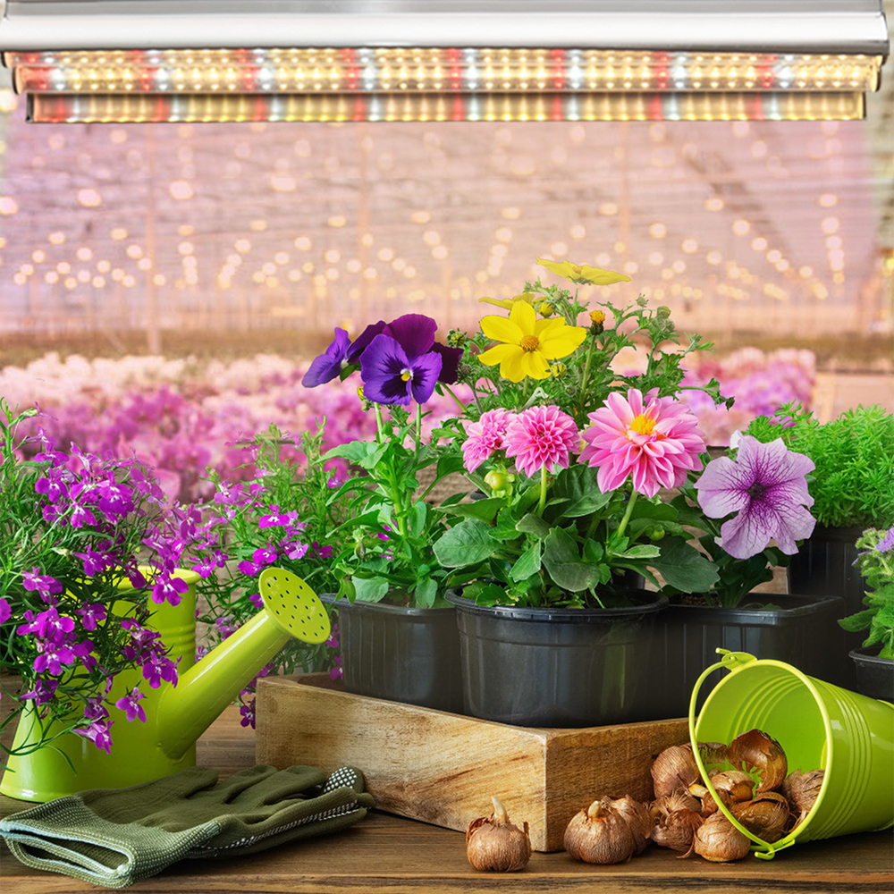 Full Spectrum 100W LED Grow Light Indoor Tube Growth Lamp GRW520picture6