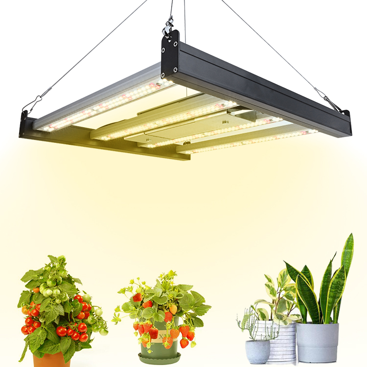 High PPFD Dimmable Full Spectrum 100W LED Grow Light GRW560