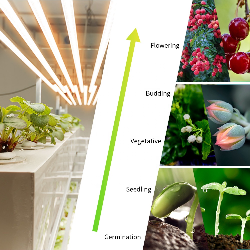 40W Full Spectrum Vegetable Grow LED Tube Light GRW580picture4