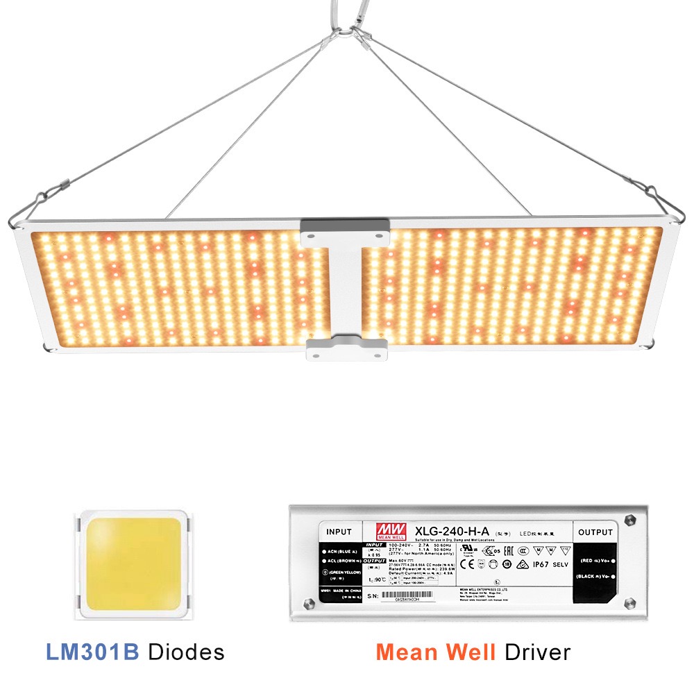 High PPFD 100W 120W 240W 480W 720W Full Spectrum PF0.95 LED Grow Light GRW590picture2