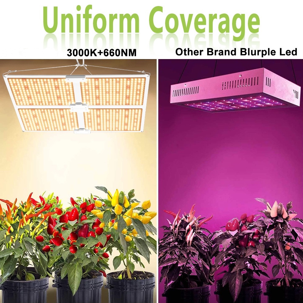 High PPFD 100W 120W 240W 480W 720W Full Spectrum PF0.95 LED Grow Light GRW590picture6