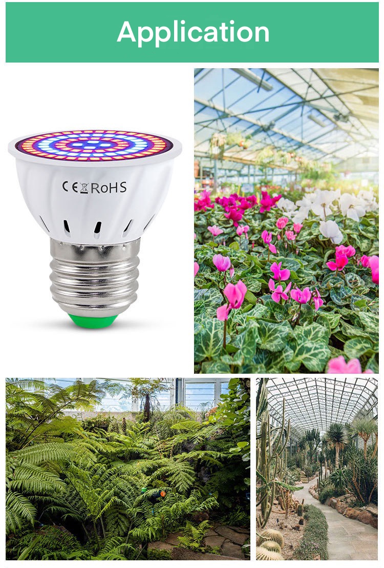 Full Spectrum LED Grow Bulb Light GRW600picture2